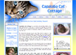 Capalaba Cat Cottage