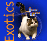 Jaygee Exotics