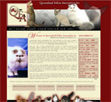 QFA queensland feline association